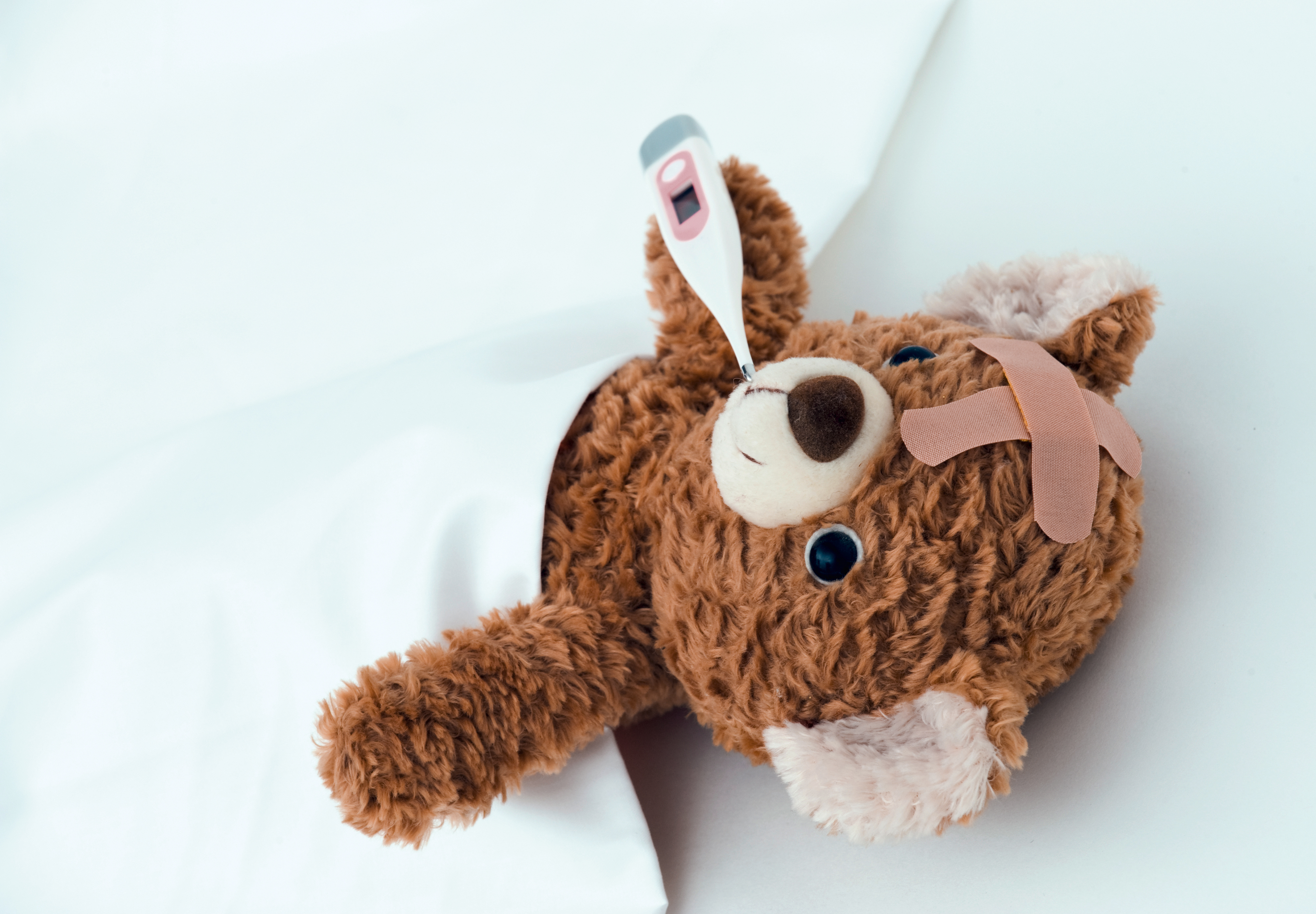 Actions and a list of documents in the event of an insurance event